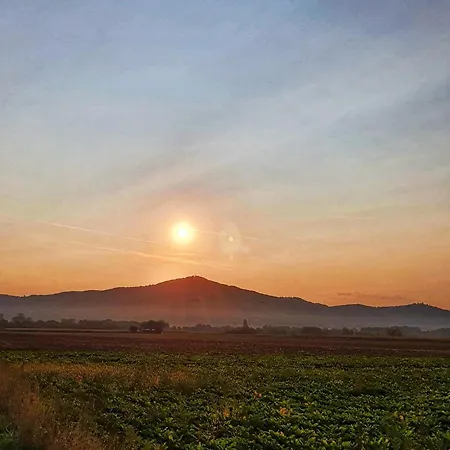 Nickel Marktstrasse 11 Alsbach-haehnlein Casa de hóspedes 3*