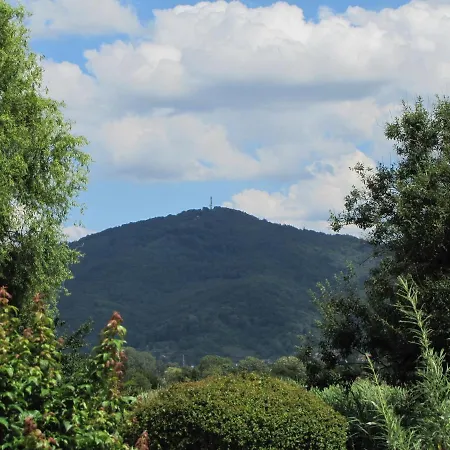 Nickel Marktstrasse 11 Alsbach-haehnlein Casa de hóspedes 3*