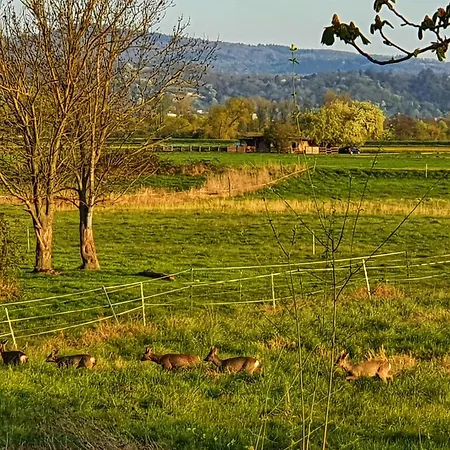 Casa de hóspedes Nickel Marktstrasse 11 Alsbach-haehnlein